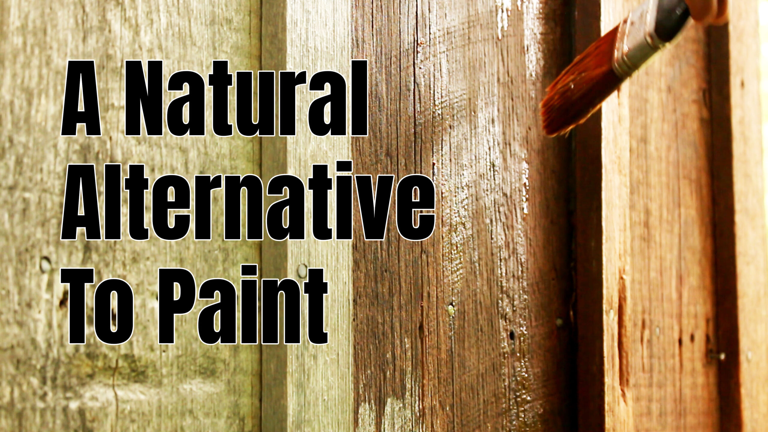 A Natural Alternative to Paint for Wood Siding and Fences Sustainable